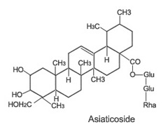asiaticoside